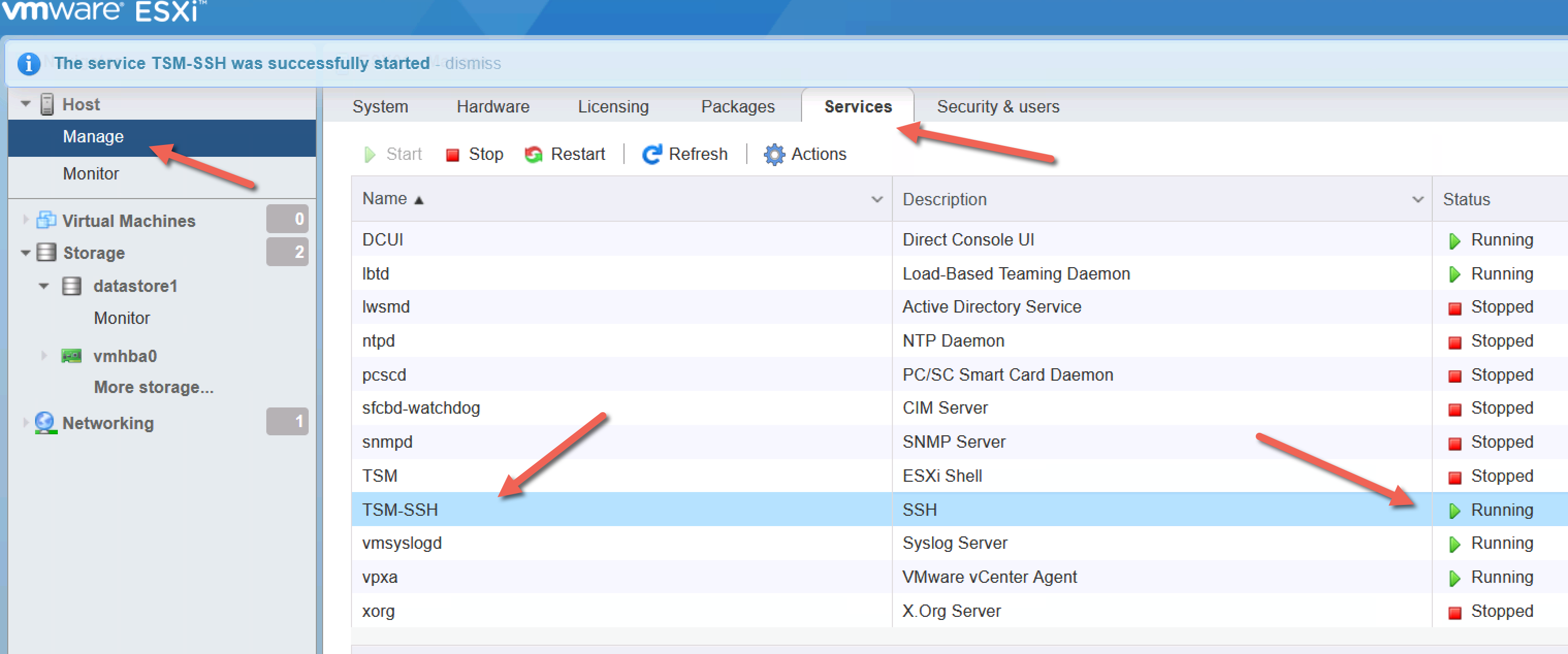 ESxi host ssh service