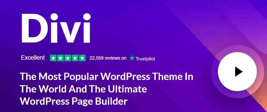 Divi Theme