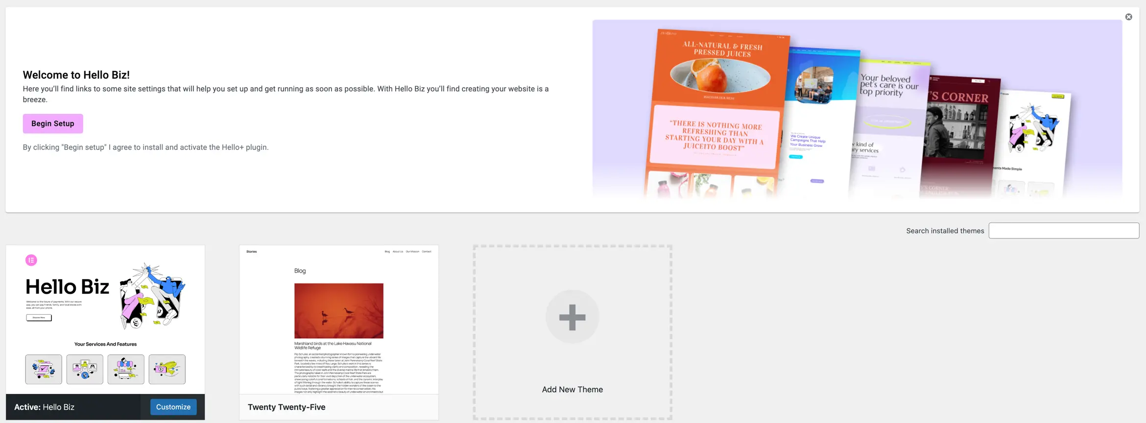 Hello Biz Begin Setup