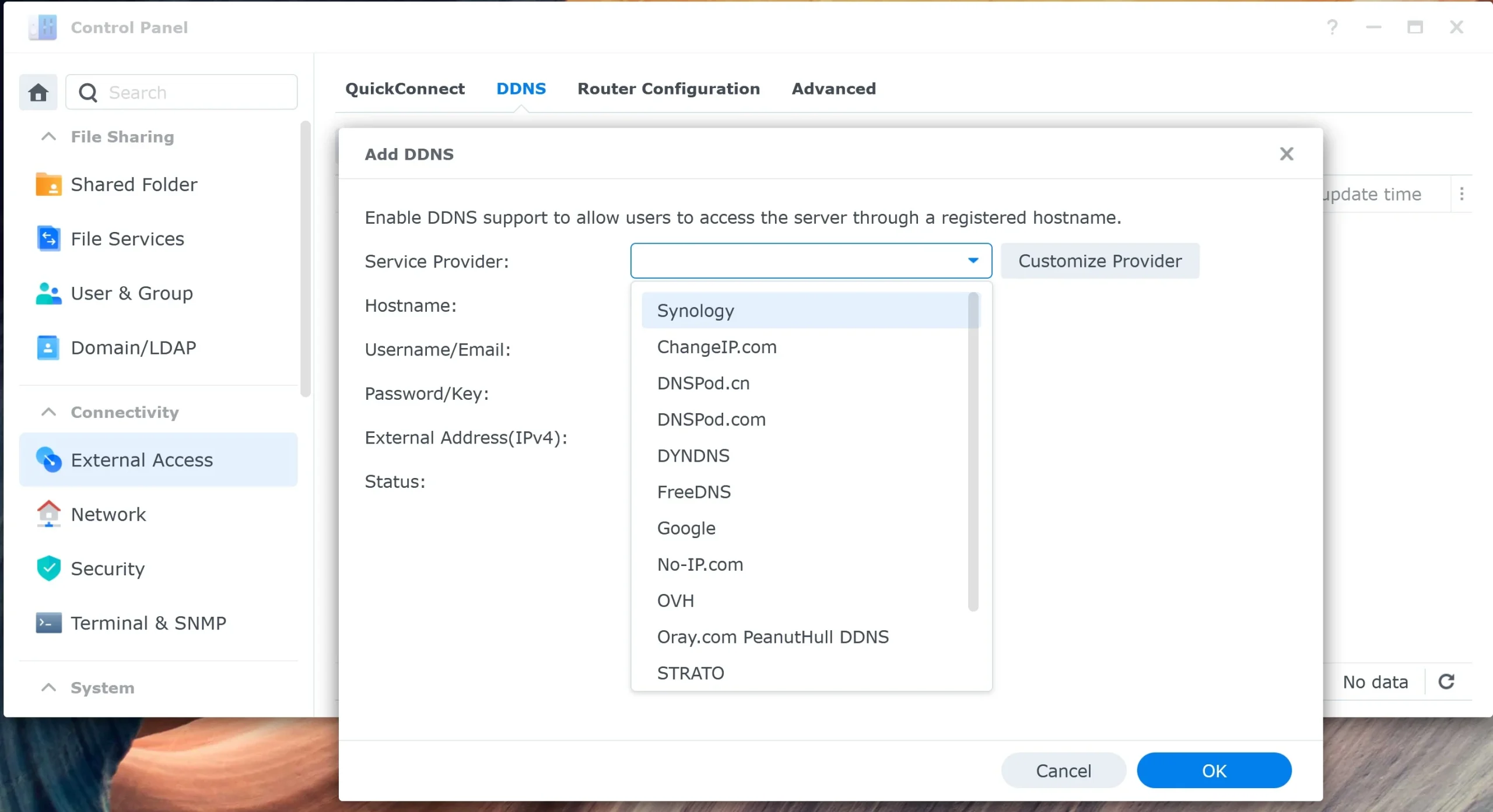 Synology DDNS provider