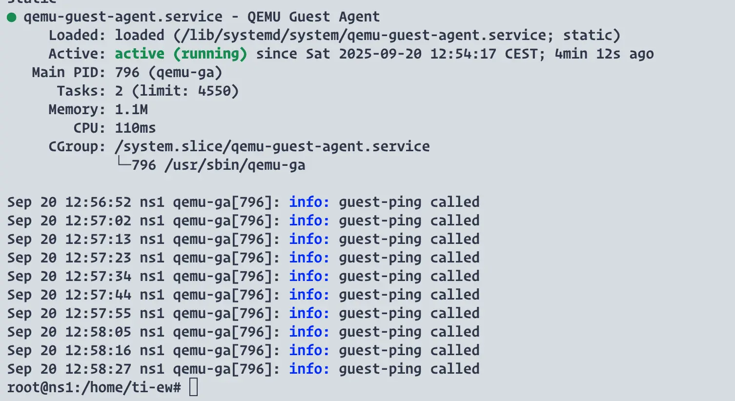 Veify the installation of the qemu guest agent on Ubuntu Debian