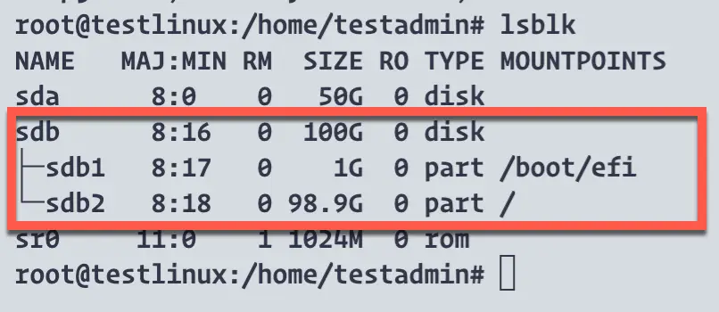 Linux guest before resizing the disk