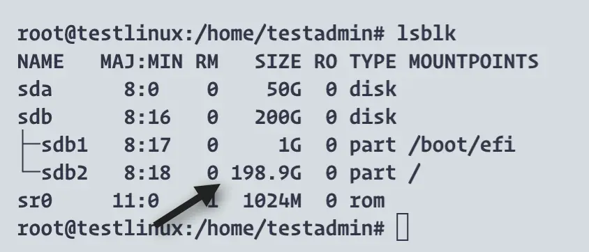 new disk size for linux guest
