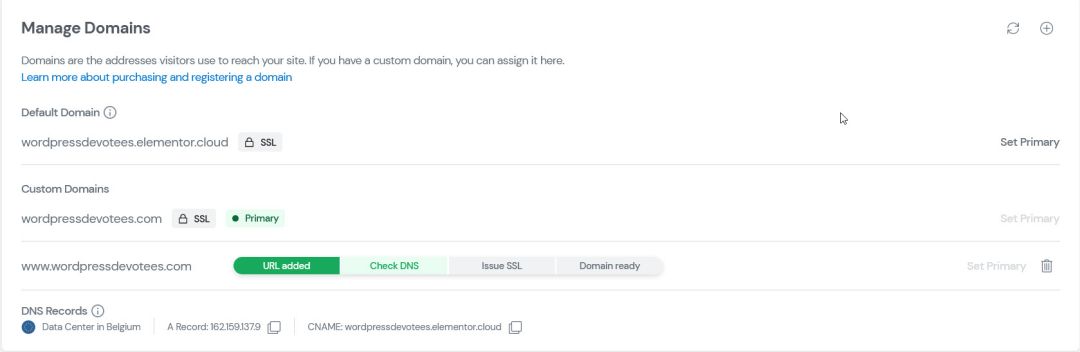 Elementor hosting manage domains
